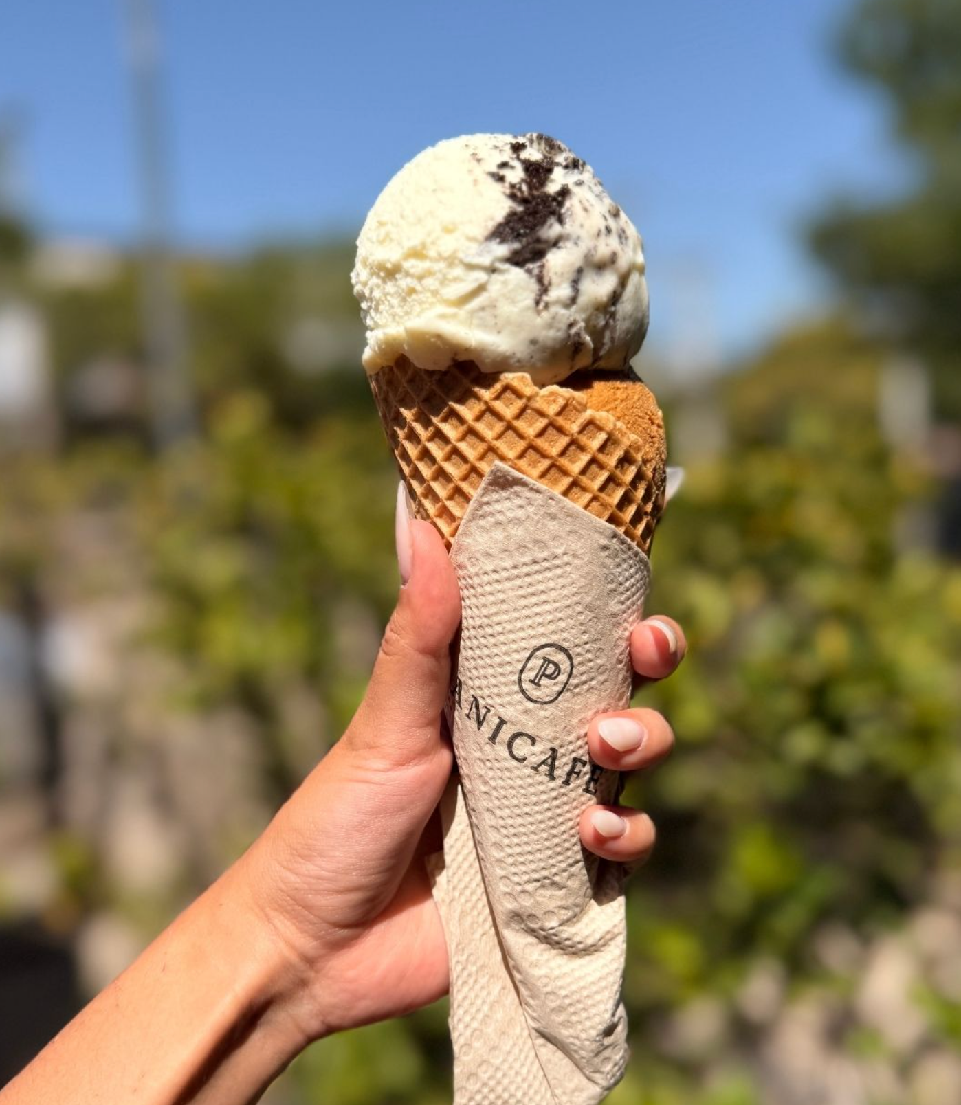 Helado artesanal servido en cucurucho